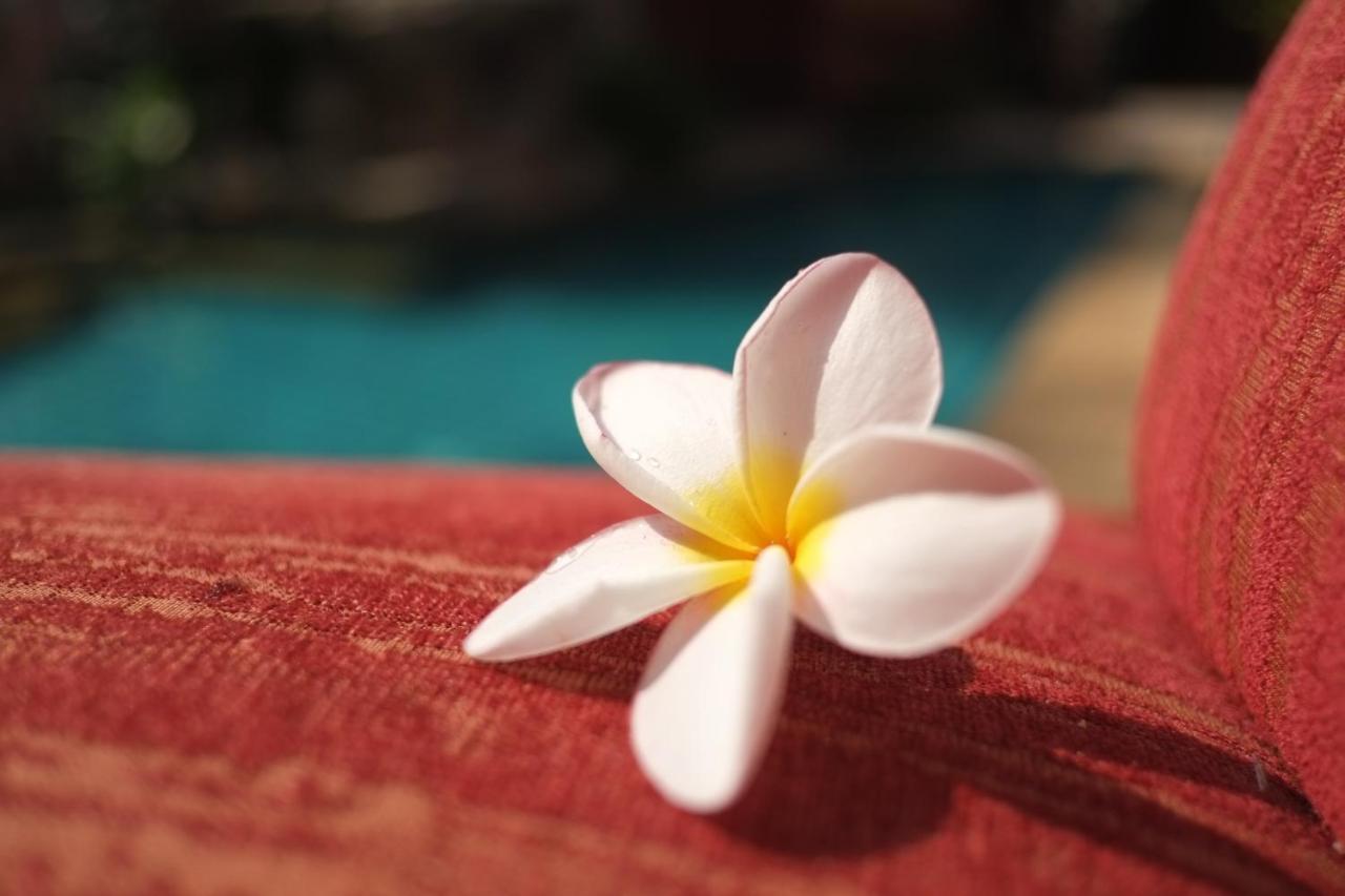 พระตำหนักวิลล่า 10 ห้องนอน พร้อมสระว่ายน้ำส่วนตัว Pattaya Zewnętrze zdjęcie